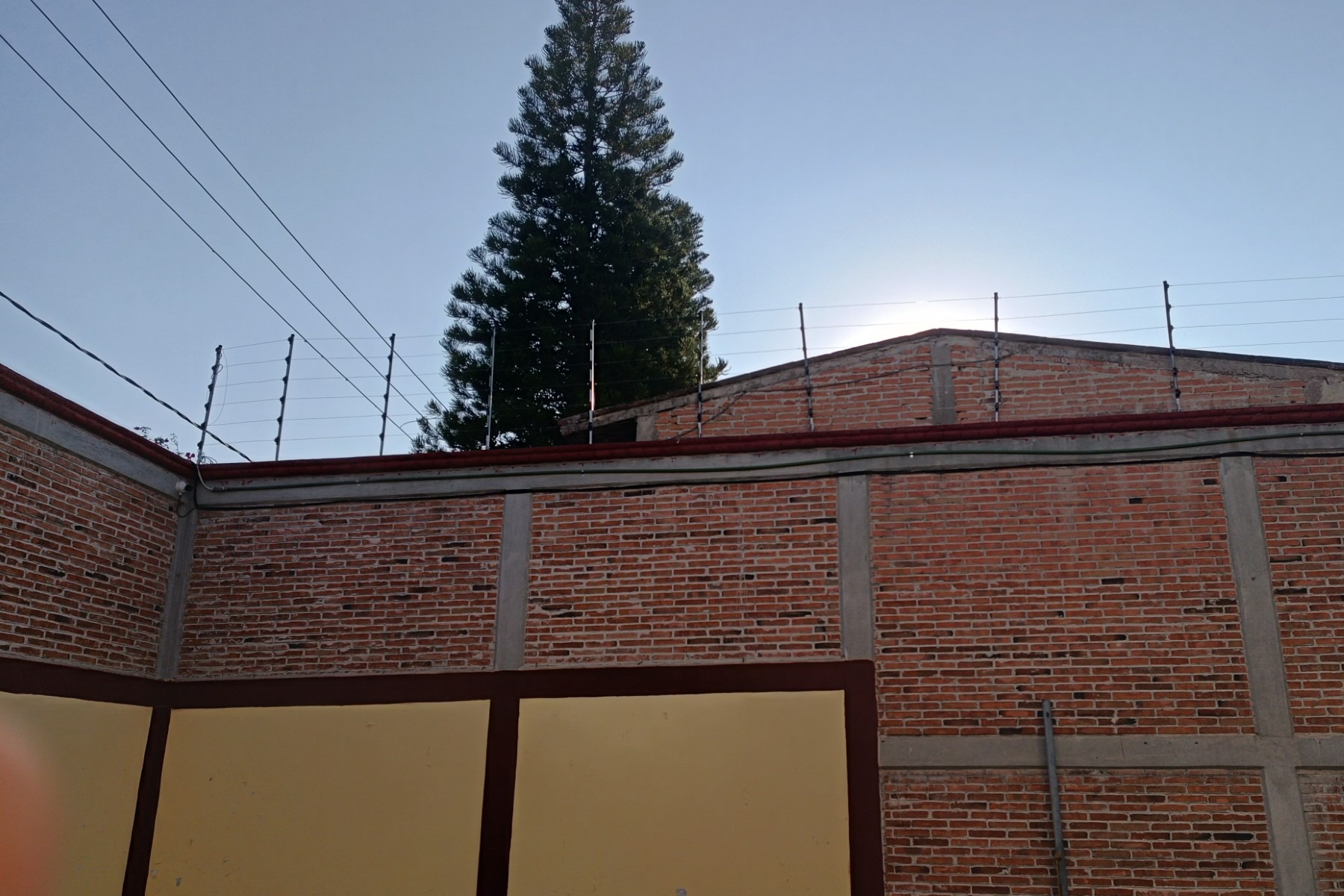 Instalación mantenimiento cercos electrificados de seguridad para hogares y empresas en México (5) Instalación mantenimiento cercos electrificados de seguridad para hogares y empresas en México (5)